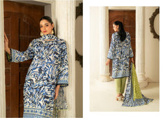 Regalia Salina Linen Vol -01 2025
